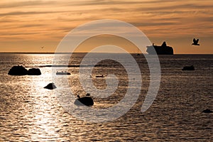 Cruise lliner silhouette