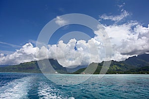 Cruise ship anchored off the coast of Moorea, one of the Windward Islands & Society Islands, French Polynesia, South Pacific