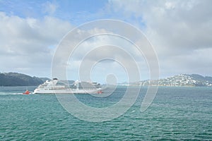 Cruise ship approaching Wellington harbour