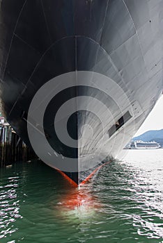 Cruise ship bow in water