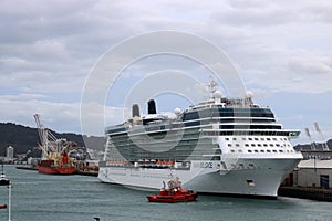 Cruise ship Celebrity Solstice in Wellington NZ