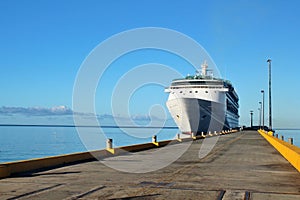 Cruise ship docked