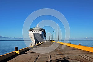 Cruise ship docked