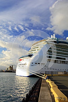 Cruise Ship at the Docks