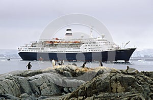 Cruise ship Marco Polo and Gentoo penguins (Pygoscelis papua) in Paradise Harbor, Antarctica