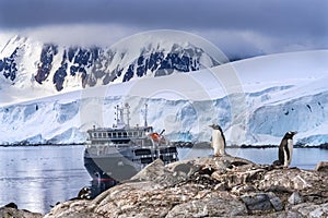 Cruise Ship Penguins Rookery Snow Mountains Blue Glaciers Damoy Point Antarctica