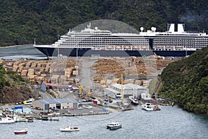 Cruise Ship in Picton Resort Town Port