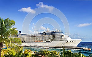 Cruise Ship in port