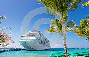 Cruise Ship in port