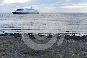 Cruise ship Via Australis at the Chilean island of Magdalena.