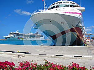 Cruise Ships docked in Harbour