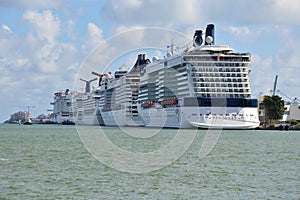 Cruise Ships in the Port of Miami, Florida