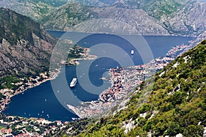 Cruise ships at tender in Kotor Bay