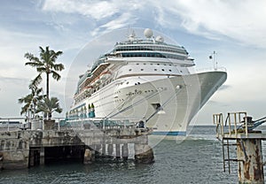 Cruiseship docked in a Florida harbor