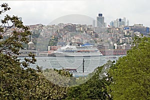 Cruiseship side view