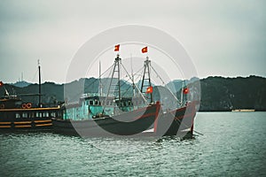 Cruising among beautiful limestone rocks and secluded beaches in Ha Long bay, UNESCO world heritage site