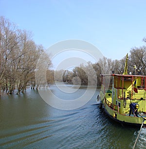 Cruising (Danube Delta)