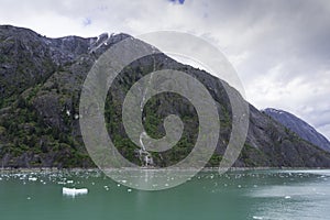 Cruising Endicott Arm