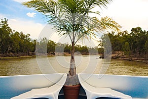 Cruising on a house boat along the Murray River