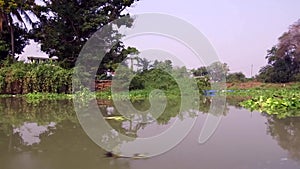 Cruising in a Long-tail boat on the Chao Phraya Rive