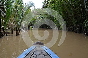 Cruising through the Mekong Delta