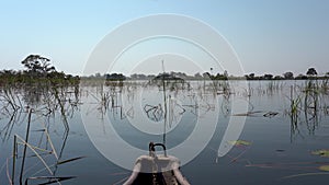Cruising with mokoro in the Okavango delta in Botswana, Africa.