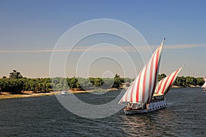 Cruising the Nile