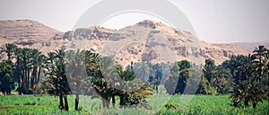 Cruising on the Nile River, the countryside, southern Egypt