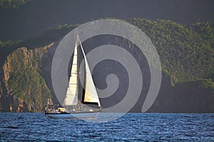 Cruising sailboat.