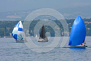 Cruising sailboats