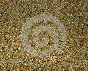 Crumbled up unsorted fresh green tea crop