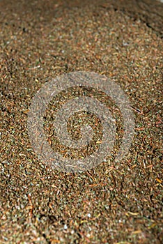 Crumbled up unsorted fresh green tea crop