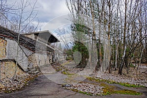 A crumbling edifice engulfed by overgrown vegetation. An abandoned football stadium in Pripyat. Overgrown with trees ruins of the