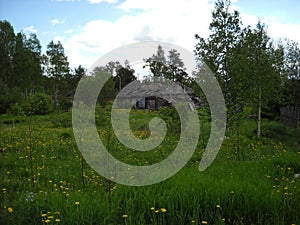 A crumbling old wooden house in a green meadow. Russian abandoned village. Green grass and weed field. Summertime by the