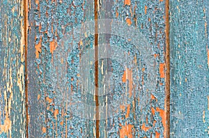 Crumbling paint on old boards wooden door