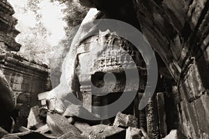 Crumbling Ta Prohm ruin