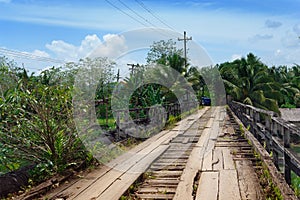 Crumbling tropical bridge