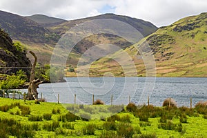 Crummock Water and mountain view, Lake District National, Cumbria