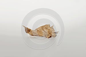 Crumpled craft paper piece platform podium on white light and shadow copy spase background. Minimal empty display product