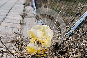 crumpled plastic bag on the road,environmental pollution
