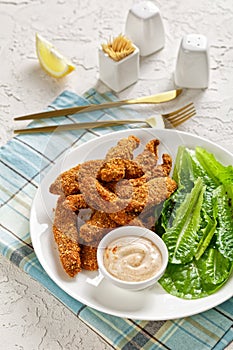 Crunchy Baked Chicken Tenders on a plate