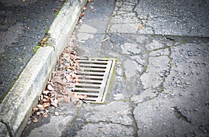 Crunchy Brown Autumn Leaves Scattered Atop a Slatted Street Gutter Next to the Curb