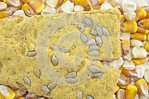 Crunchy oat thins with sunflower surrounded by dried corn grains
