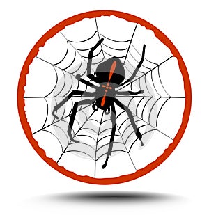 Crusader spider on his web in red circle composition