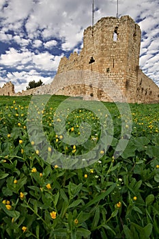 Crusaders castle photo