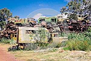 Crushed Cars with the Green Cactuses around on the Tank Graveyard in Asmara