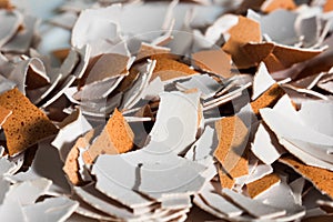 Crushed egg shell macro