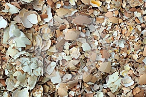 Crushed egg shells as background