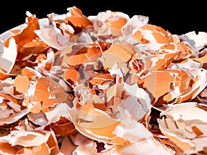 Crushed Egg Shells