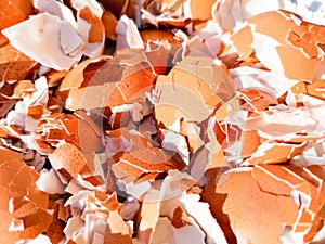 Crushed Egg Shells